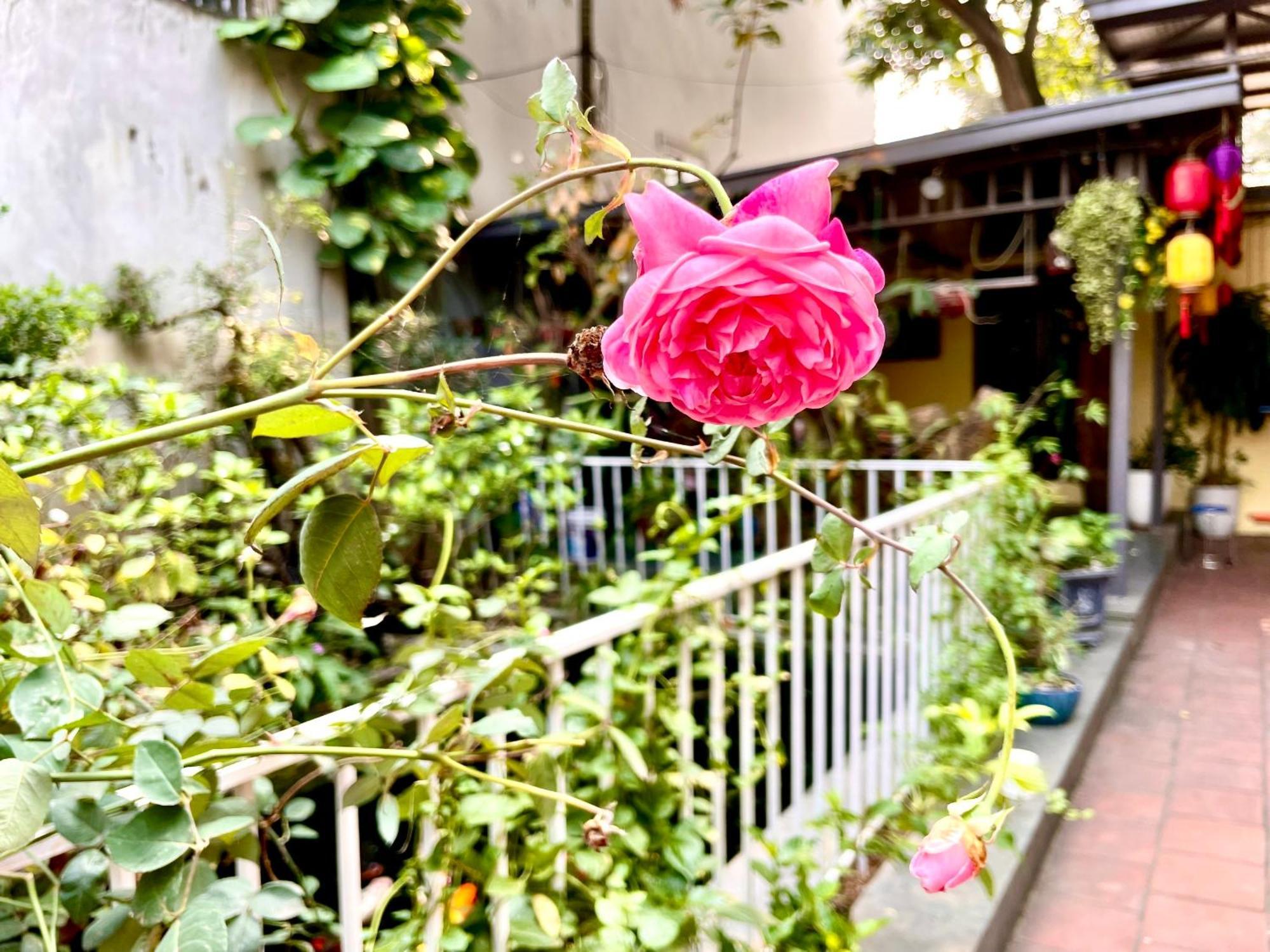 Lee Homestay Ханой Экстерьер фото